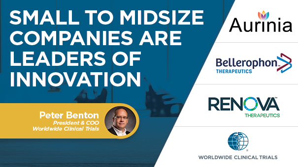 small to midsize companies are leaders of innovation