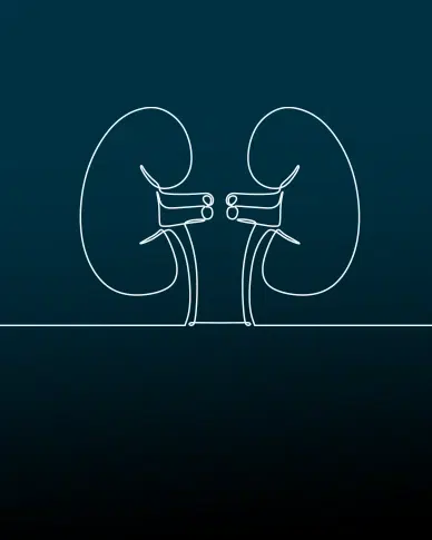 Worldwide’s Nephrology Experience