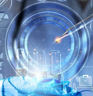 A CRO's role in the strategic development of an IND