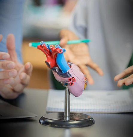 On the Cutting Edge of Cardiovascular Discovery – Learnings From ACC 2025 and Future Perspectives