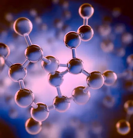 Worldwide FIH Transition Study: A Clinical-Stage Biotech Company with a Critical Startup Milestone