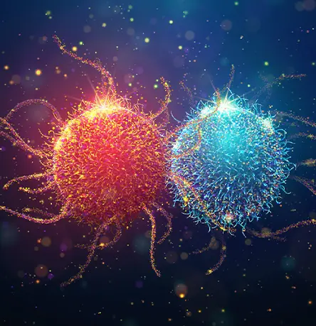 Helping Bring Cancer Therapies to Patients