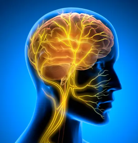 Accelerating Psychiatry Development: From One Study to Full CNS Portfolio Through Flexibility & Speed