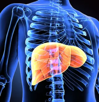 Discover how Worldwide Clinical Trials advances rare liver disease research.