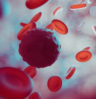 Microscopic view of blood cells circulating through a blood vessel.