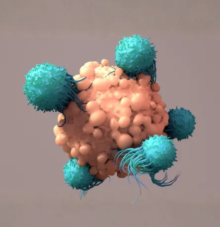 Driving Success in Immuno-Oncology (IO) Development